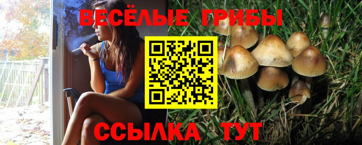 МЕФ кристаллы  ГАШ  Котлас  MDMA  Вход с VPN  КОКАИН  Марихуана 