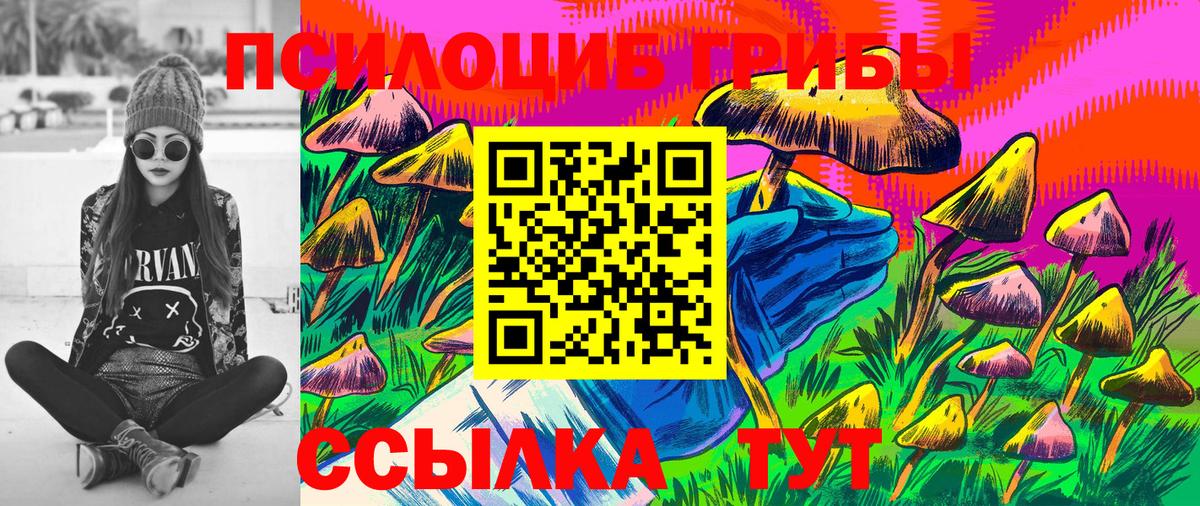 Галлюциногенные грибы ЛСД  Галлюциногенные грибы Cubensis  купить   Котлас  Вход с VPN 